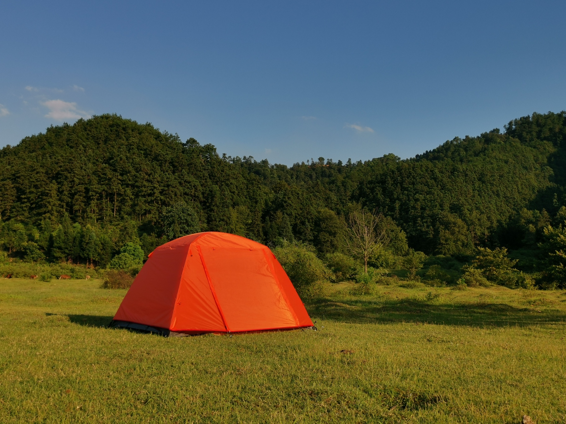 Camping Life Creation