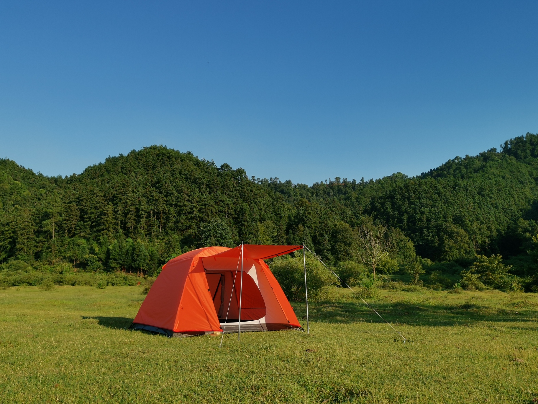 Camping Life Creation