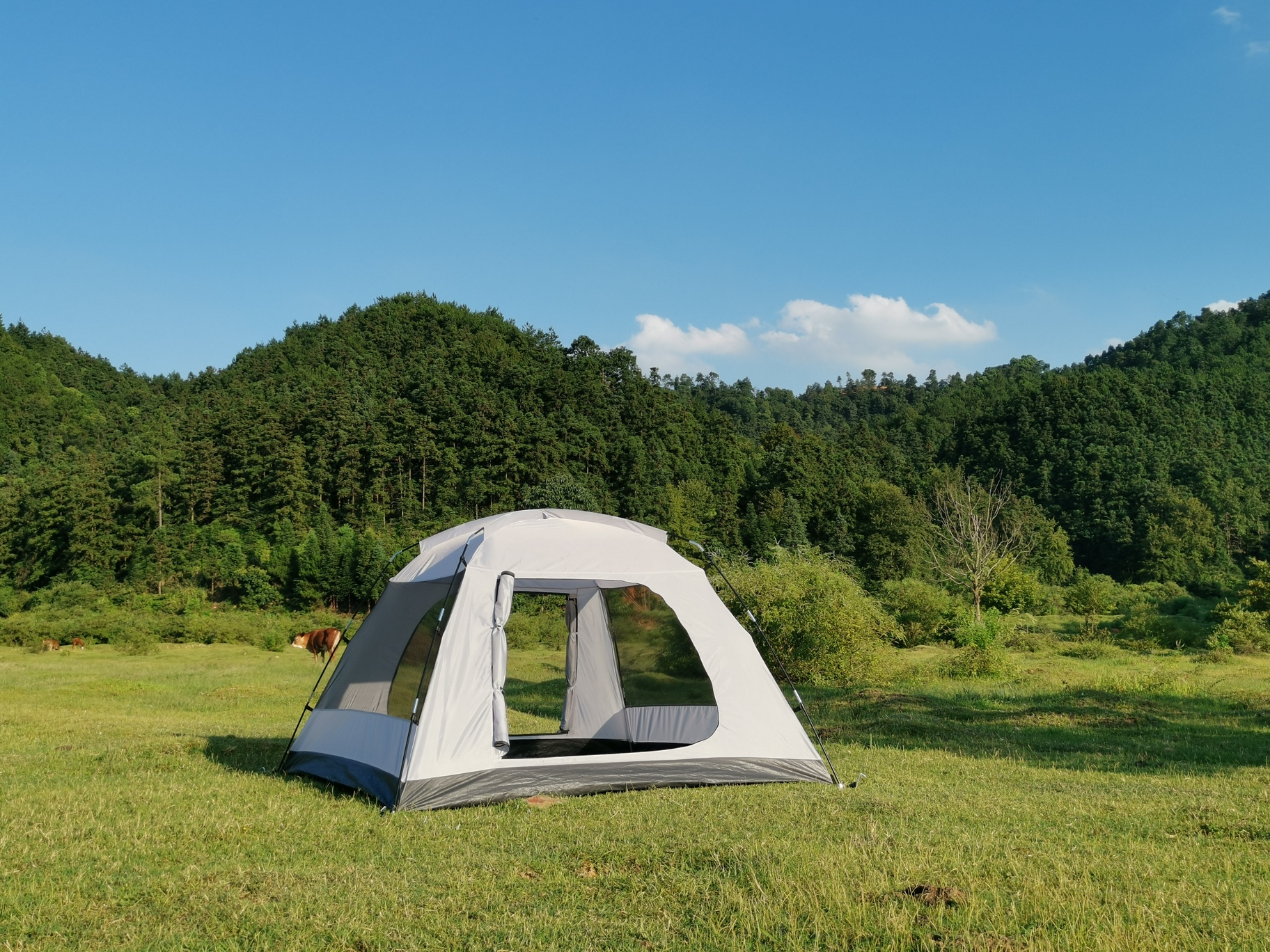 Camping Life Creation