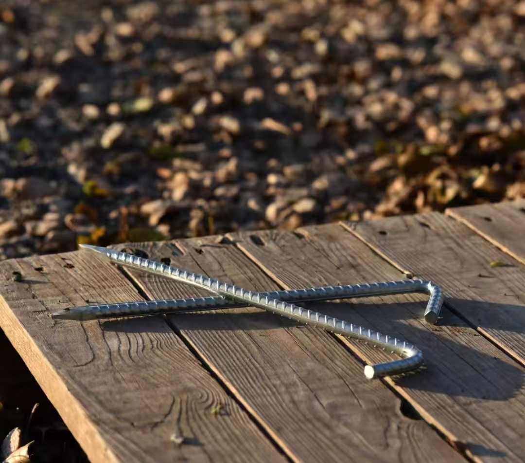 Camping Life Creation