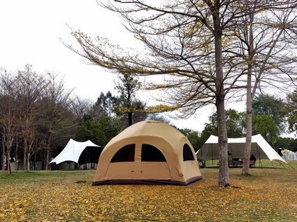 Camping Life Creation