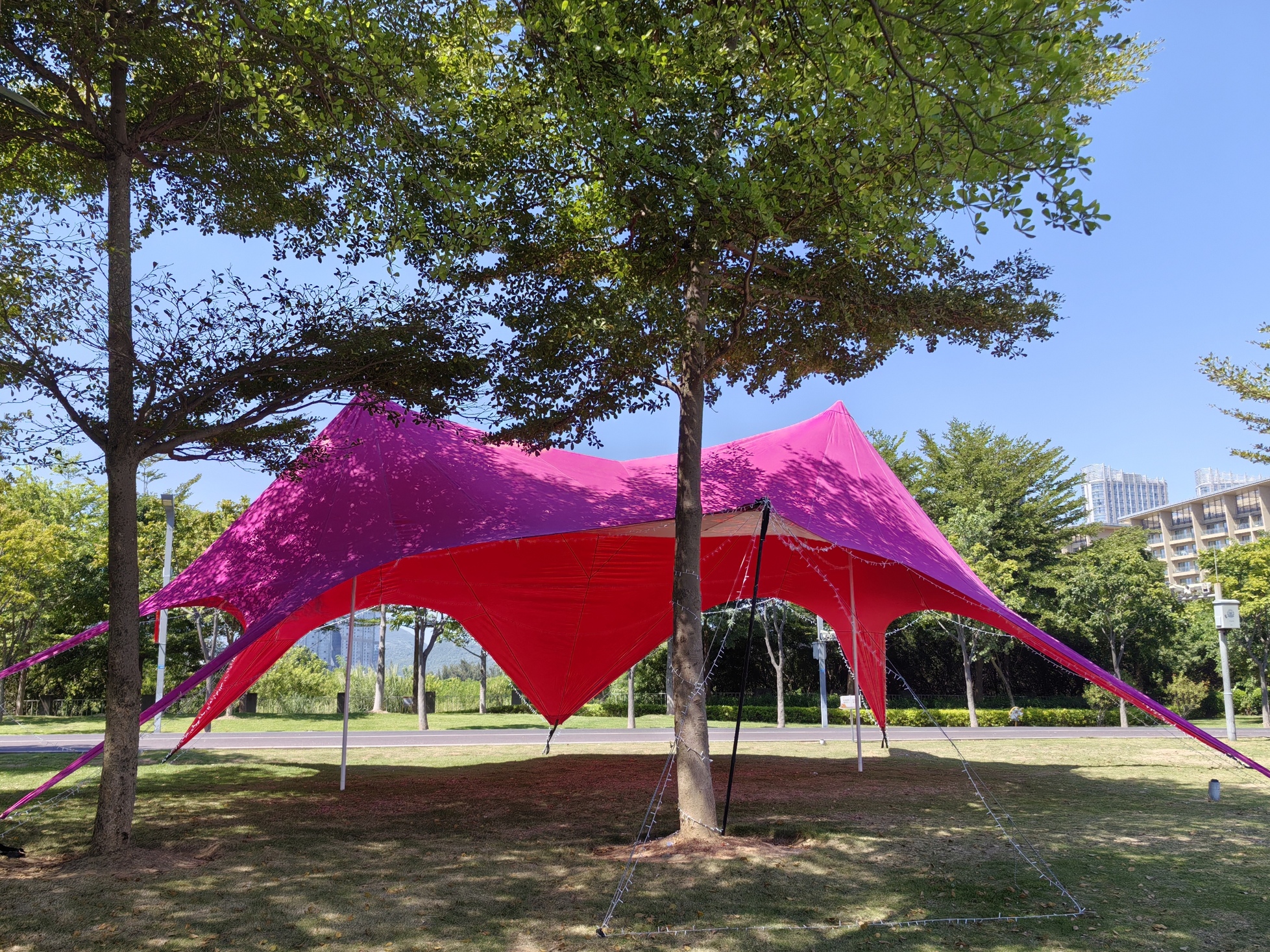 Camping Life Creation