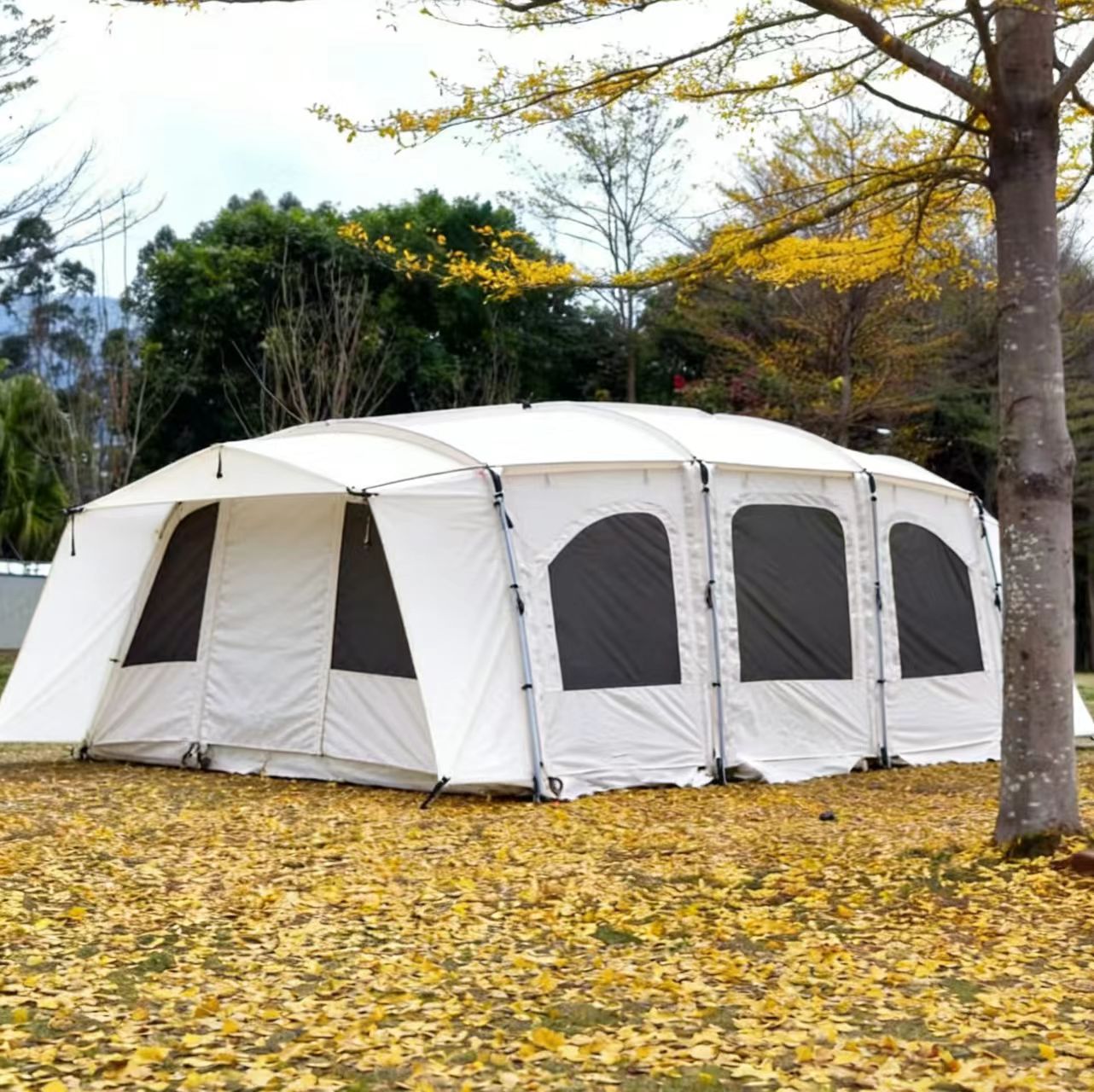 Camping Life Creation